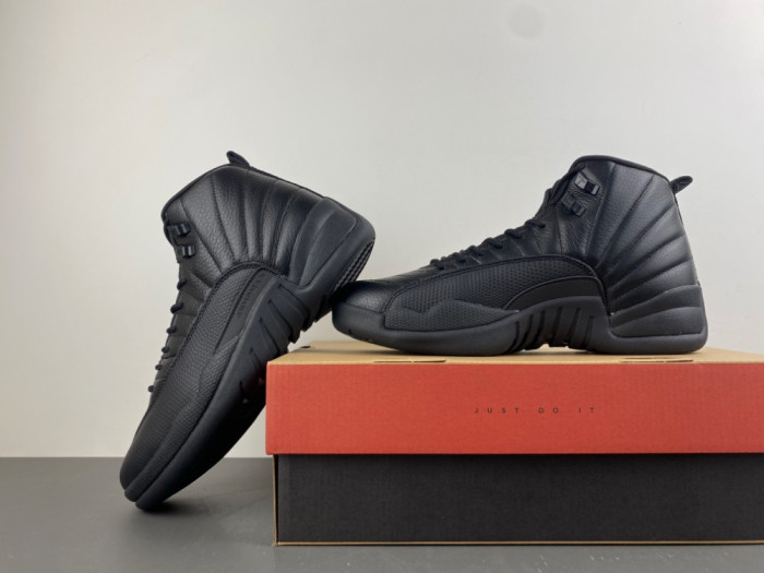 Air Jordan 12 CT8013-0101