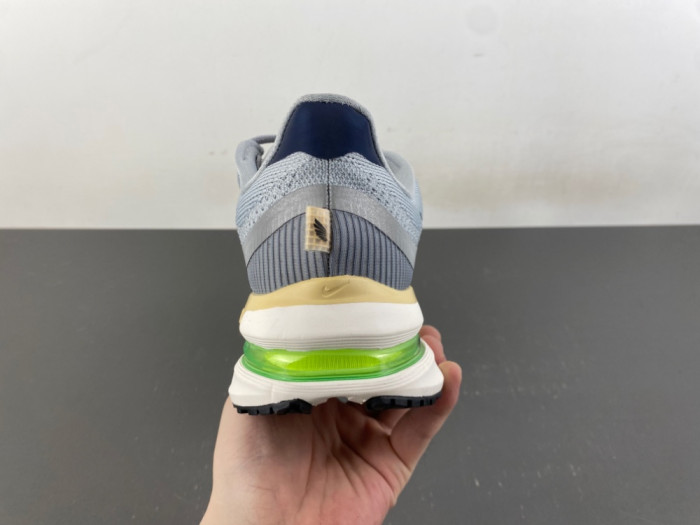 Nike Pegasus Premium IR1815-012
