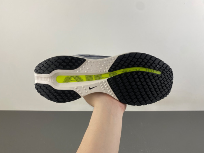 Nike Pegasus Premium IR1815-012