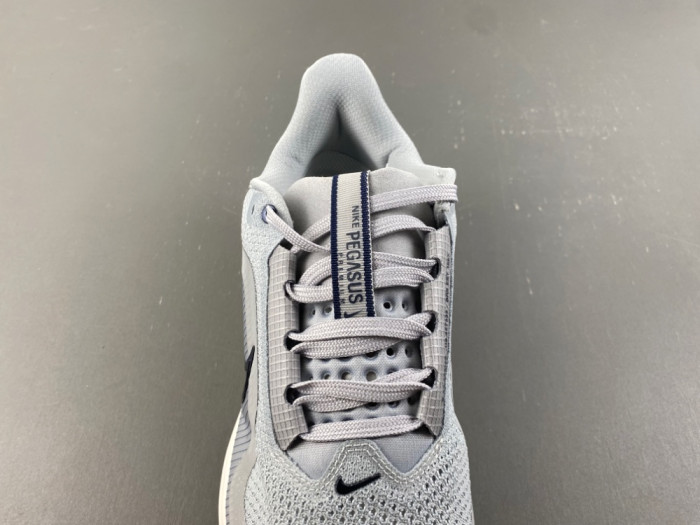 Nike Pegasus Premium IR1815-012