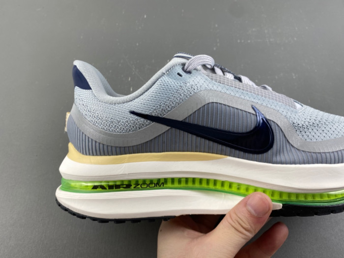 Nike Pegasus Premium IR1815-012