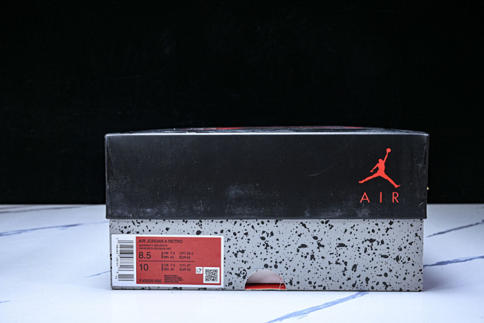 Air Jordan 4 FV5029-600