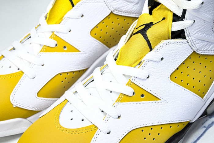 Air Jordan 6 Retro 
