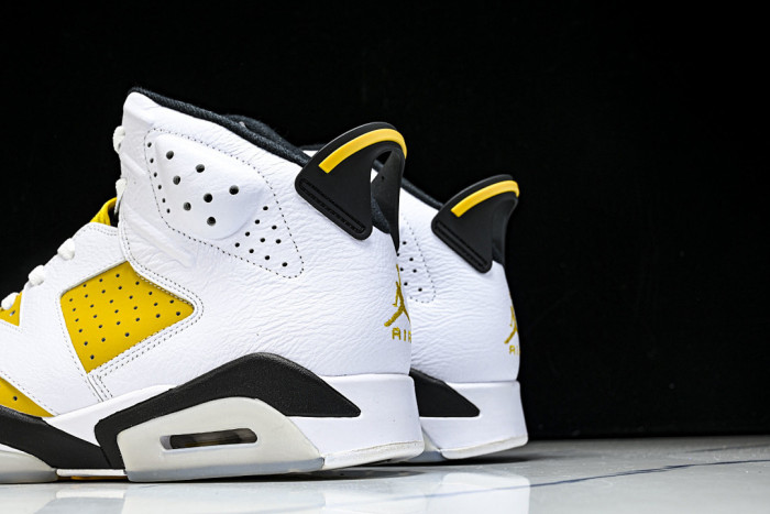 Air Jordan 6 Retro 