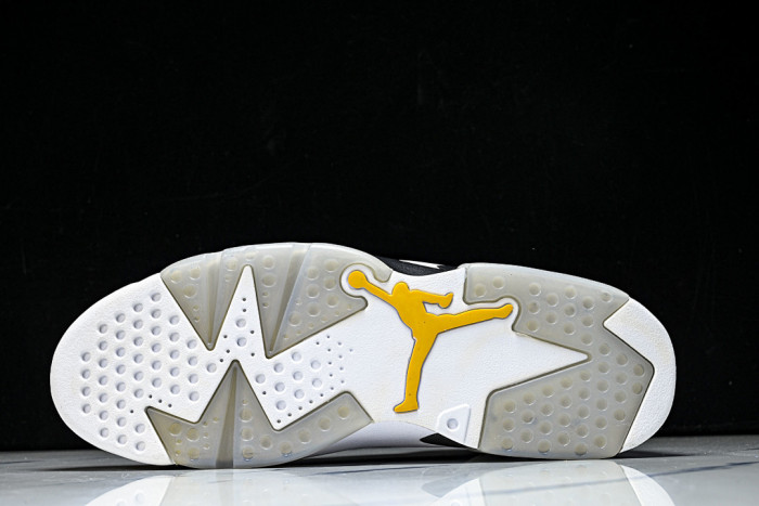 Air Jordan 6 Retro 