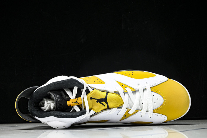 Air Jordan 6 Retro 