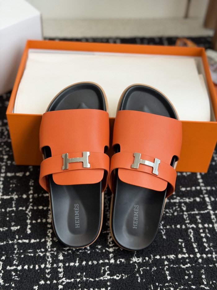 HER Slides 2405250