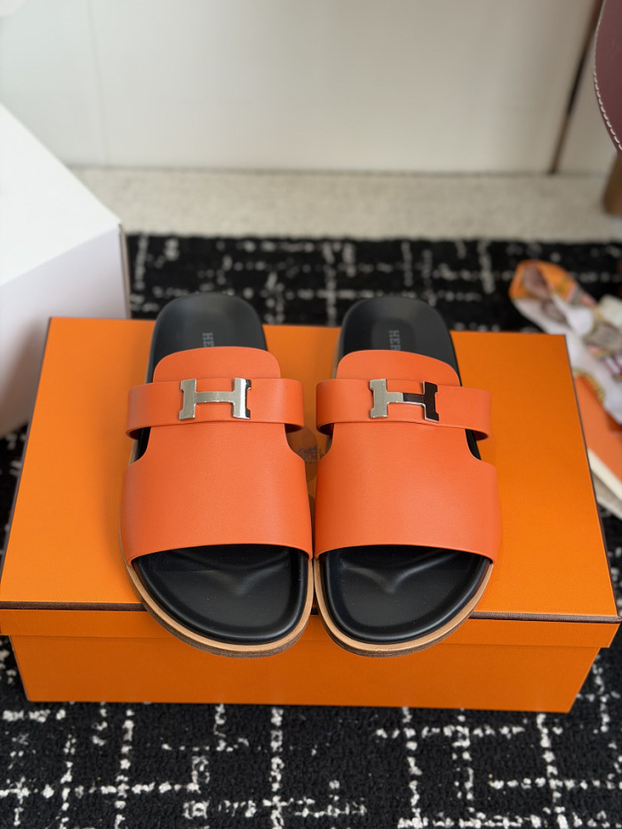 HER Slides 2405250