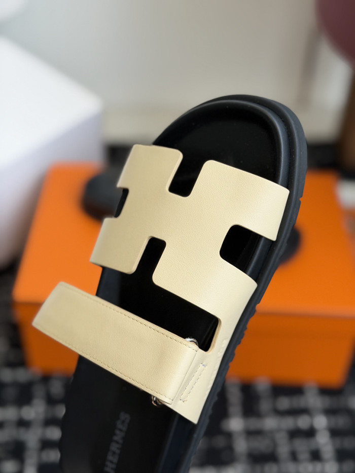 HER Slides 2405276