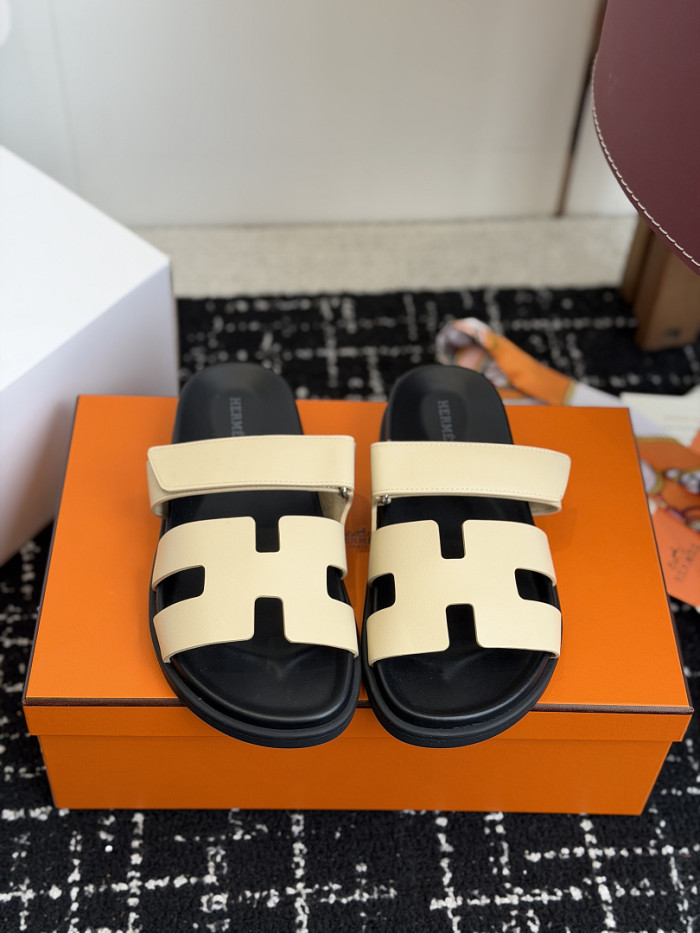 HER Slides 2405276