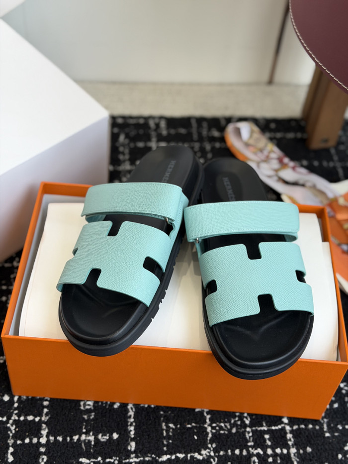 HER Slides 2405281
