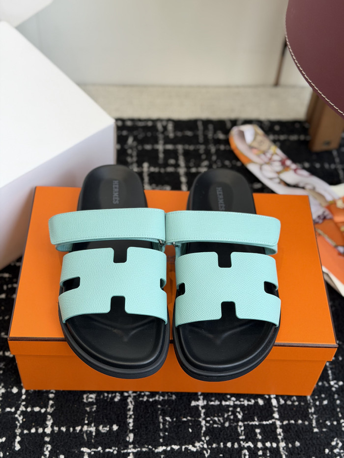 HER Slides 2405281