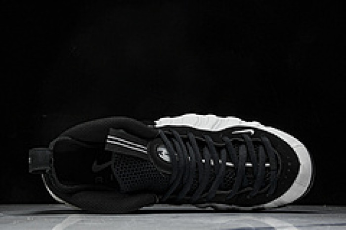 Nike Air Foamposite Pro “Wolf Grey” HF0794-001