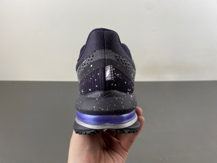 Nike Pegasus Premium SE IH0861-500