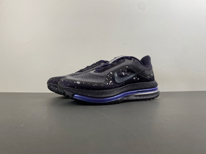 Nike Pegasus Premium SE IH0861-500