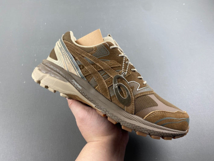 A_SICS GEL AS75