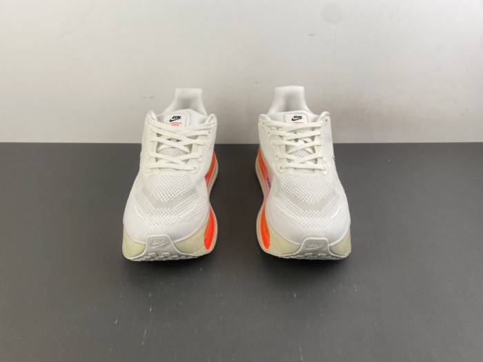 Nike Pegasus Premium SE FN8453-037