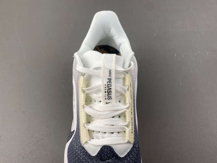 Nike Pegasus Premium SE IQ1130-001