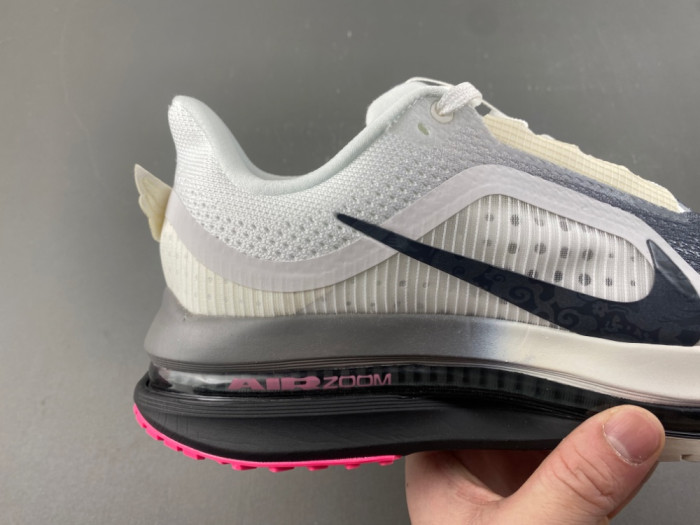 Nike Pegasus Premium SE IQ1130-001