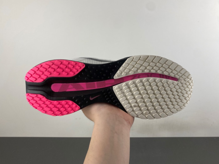 Nike Pegasus Premium SE IQ1130-001
