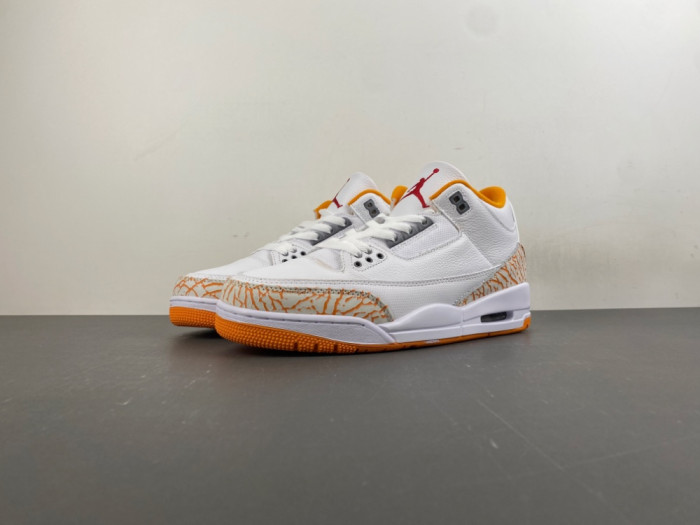 Jordan 3 CK9246-101