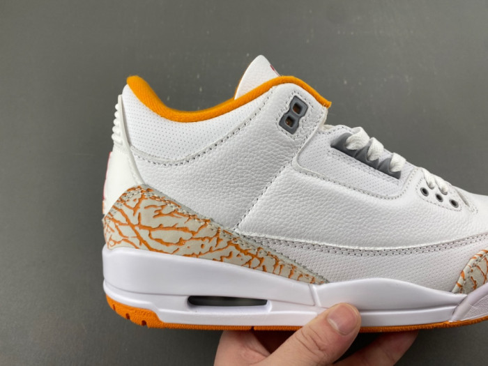 Jordan 3 CK9246-101