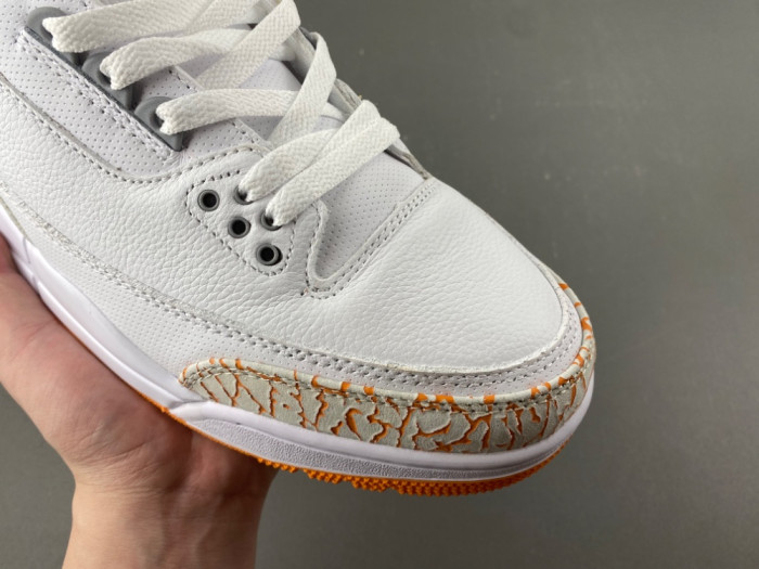 Jordan 3 CK9246-101