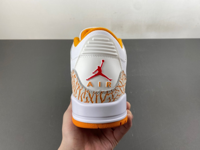 Jordan 3 CK9246-101
